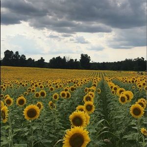 Meet your Posher, Jade